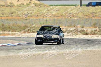 media/Jul-27-2024-Speed Ventures (Sat) [[14cea0cda4]]/Purple/Cotton Corners 1250pm/